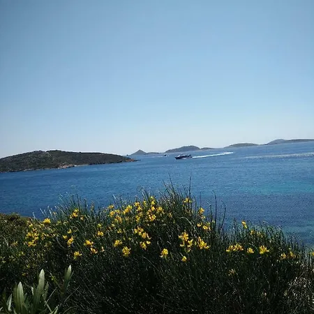 Nefeli 3* Λειψοί